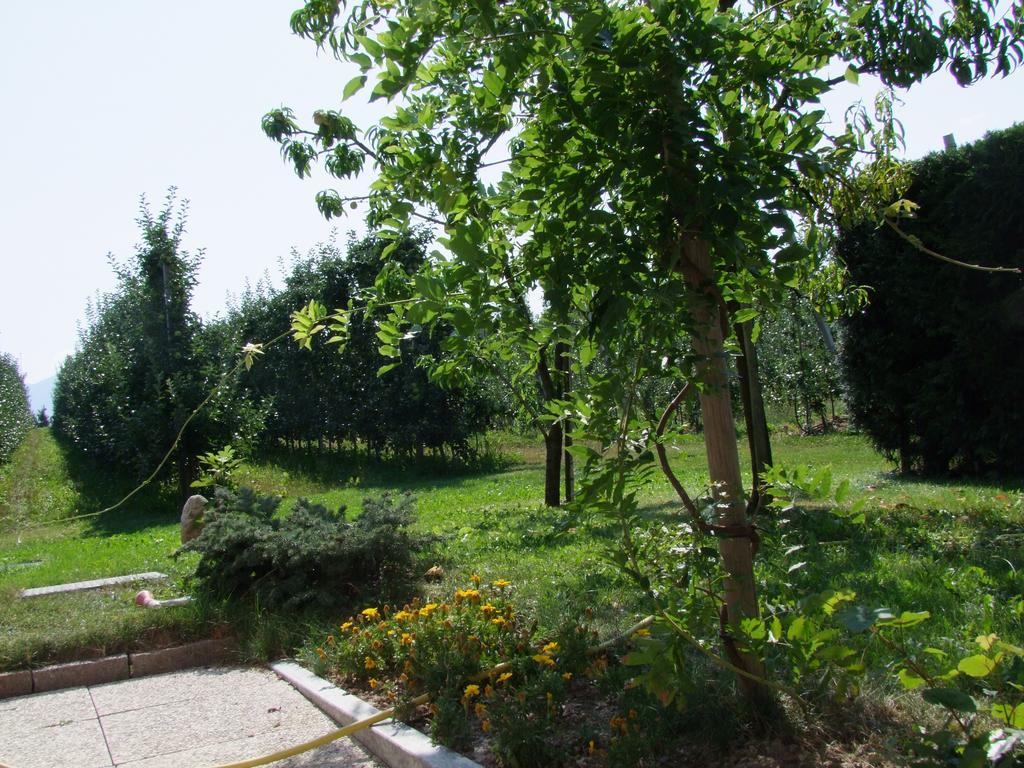 NannoAgritur Fior Di Meloアパートメント エクステリア 写真